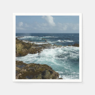 Aruba's Rocky Coast and Blue Ocean Napkin