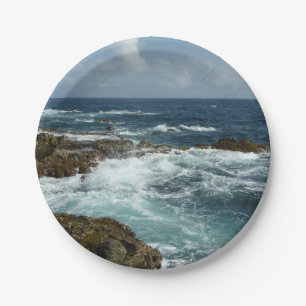 Aruba's Rocky Coast and Blue Ocean Paper Plate