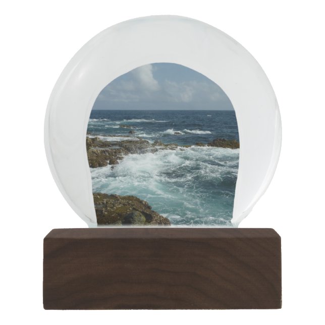 Aruba's Rocky Coast and Blue Ocean Snow Globe (Front)
