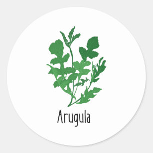 Arugula Spices Herbs Classic Round Sticker