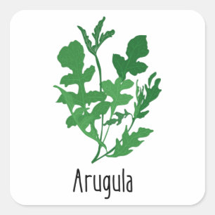 Arugula Spices Herbs Square Sticker