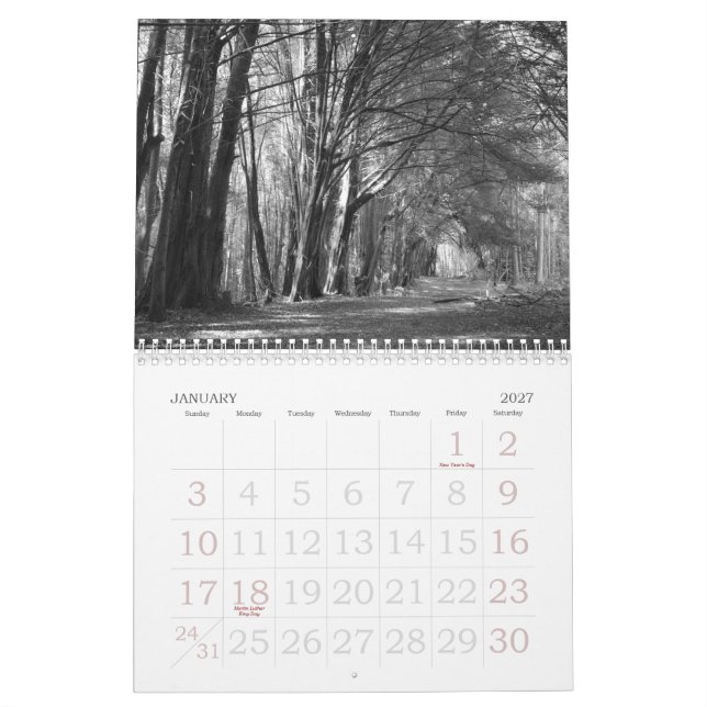 AS EYE SEE IT! CALENDAR (Jan 2027)