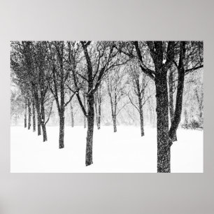as I side with trees Poster