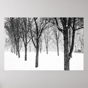 as I side with trees Poster