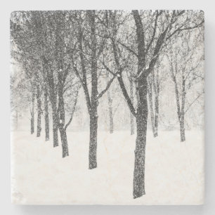 as I side with trees Stone Coaster