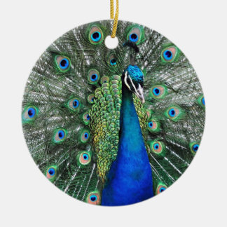As Proud as a Peacock Ceramic Tree Decoration