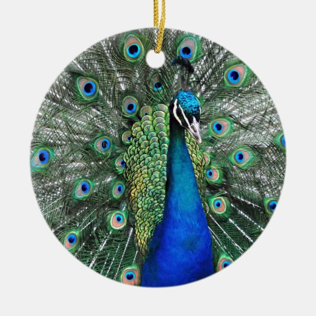 As Proud as a Peacock Ceramic Tree Decoration (Front)