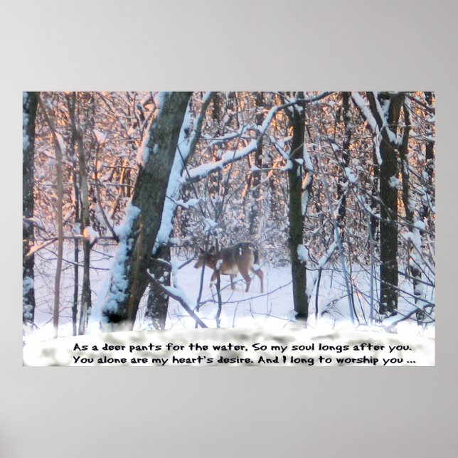 As The Deer Pants for the Water... Poster (Front)