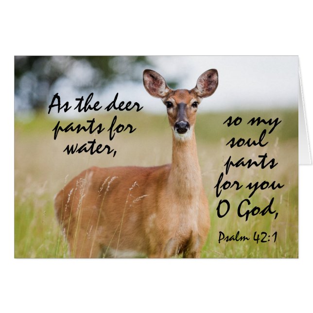 As the deer pants for water Bible Psalm 42 Card (Front Horizontal)