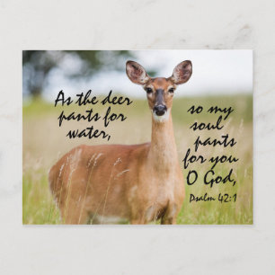 As the deer pants for water, Bible Psalm 42 Custom Postcard