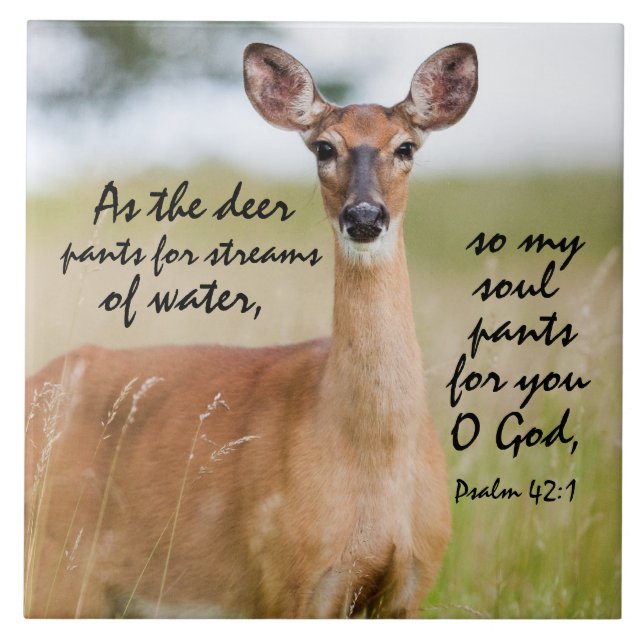 As the deer pants for water Bible Verse Psalm 42:1 Tile (Front)