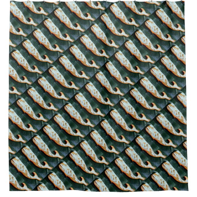 ascending driftwood whale pod design shower curtain (Front)