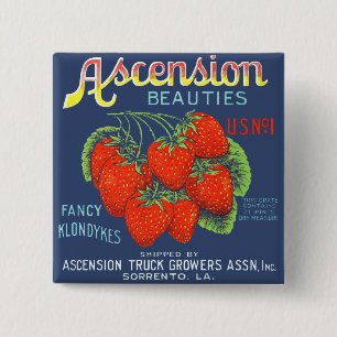 Ascension Beauties Fancy Klondykes Strawberries 15 Cm Square Badge