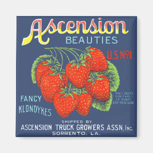 Ascension Beauties Strawberries Magnet