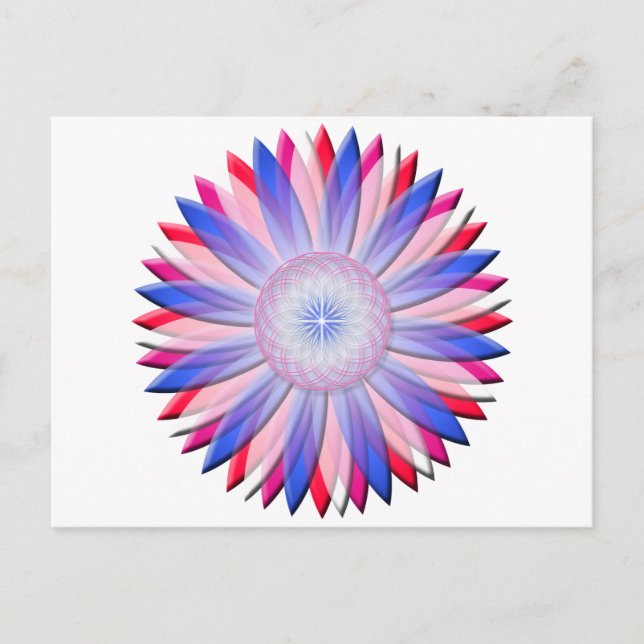 Ascension Flower Postcard (Front)