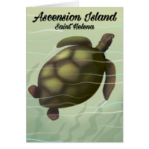Ascension Island Sea Turtle