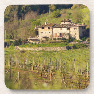 Aschuito, a working farm that accepts guests, coaster