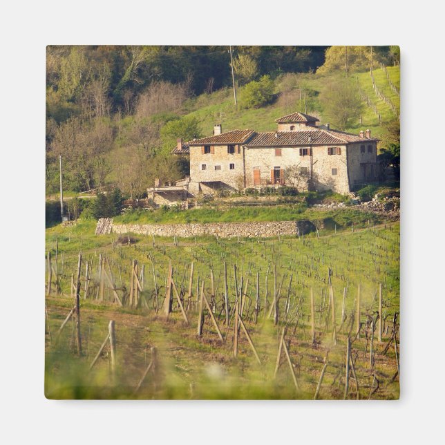 Aschuito, a working farm that accepts guests, magnet (Front)