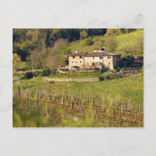 Aschuito, a working farm that accepts guests, postcard