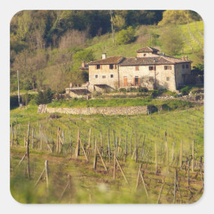 Aschuito, a working farm that accepts guests, square sticker