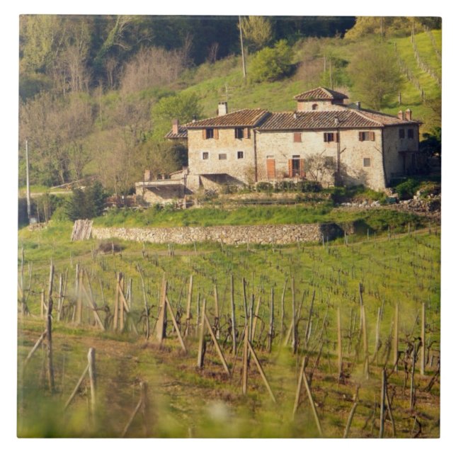 Aschuito, a working farm that accepts guests, tile (Front)