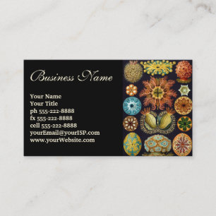 Ascidiae by Ernst Haeckel, Vintage Marine Animals Business Card