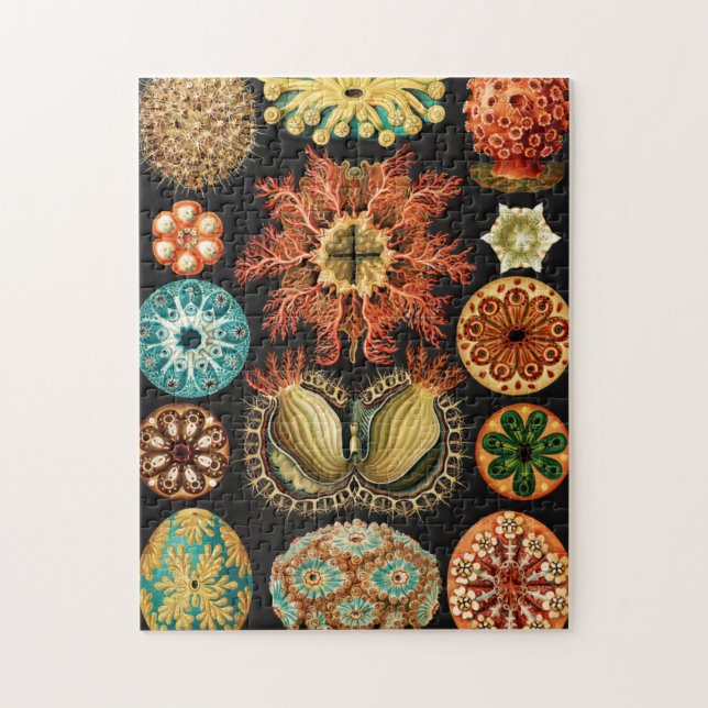 Ascidiae, Seescheiden Marine Life by Ernst Haeckel Jigsaw Puzzle (Vertical)