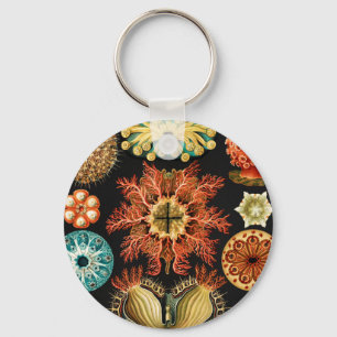 Ascidiae, Seescheiden Marine Life by Ernst Haeckel Key Ring
