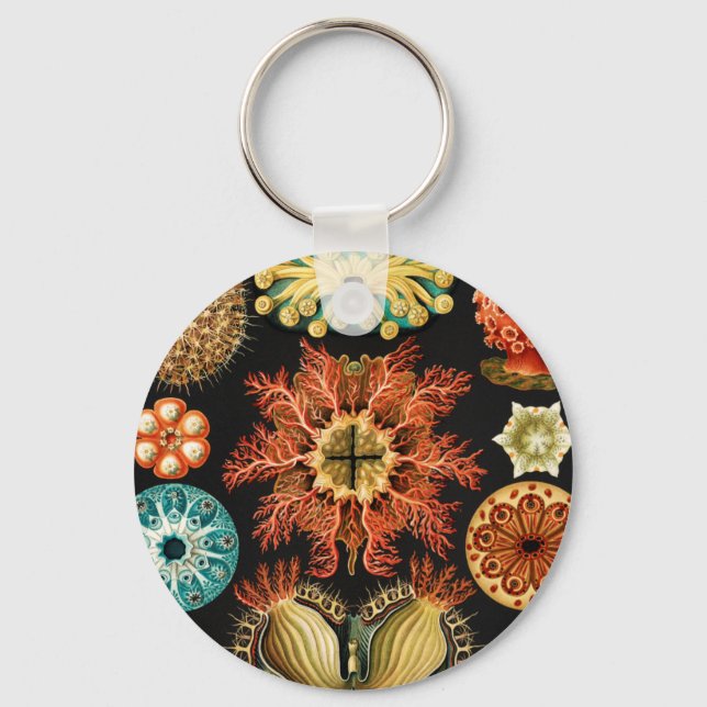 Ascidiae, Seescheiden Marine Life by Ernst Haeckel Key Ring (Front)