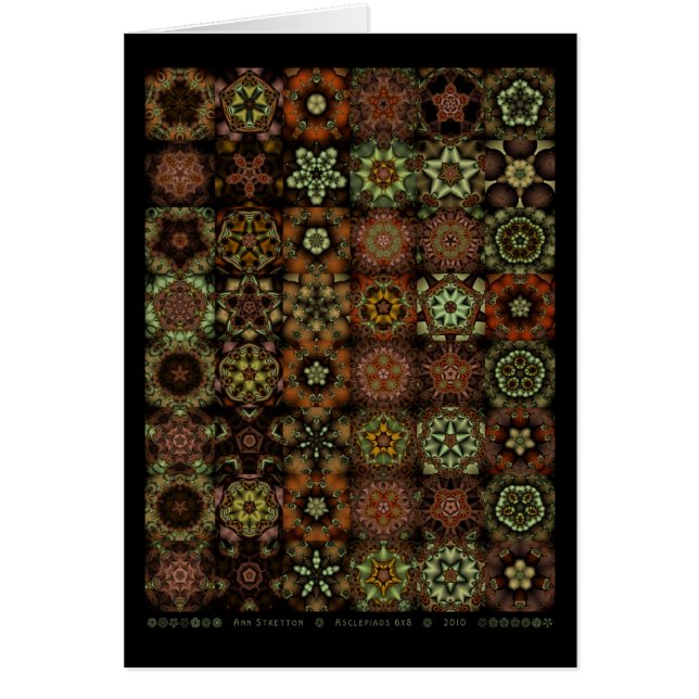 Asclepiads 6x8 (Front)