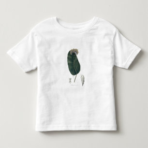 Asclepias Syriaca from 'Phytographie Medicale' by Toddler T-Shirt