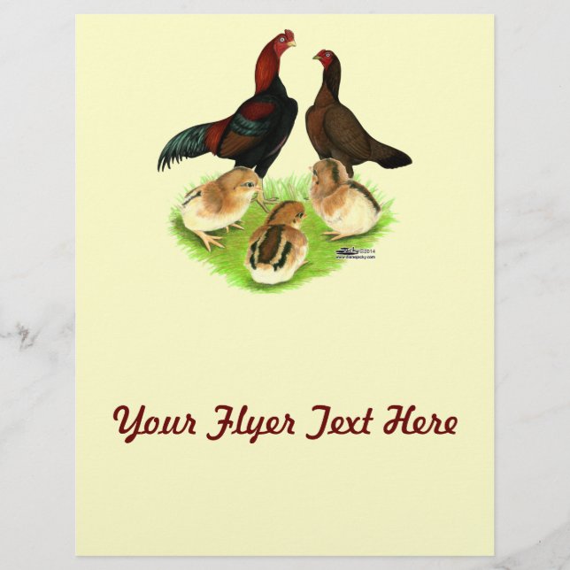 Aseel Black Red Chicken Family (Front)