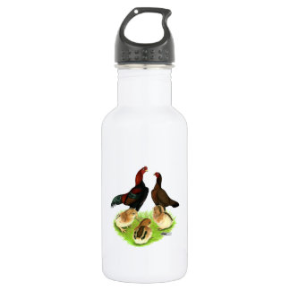Aseel Black Red Chicken Family 532 Ml Water Bottle