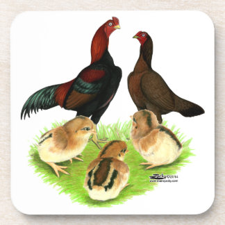 Aseel Black Red Chicken Family Coaster