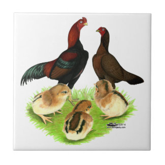 Aseel Black Red Chicken Family Tile