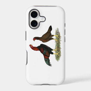 Aseel Black Red Chickens