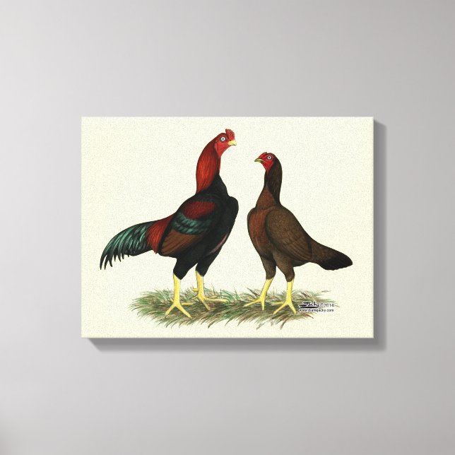 Aseel Black Red Chickens Canvas Print (Front)