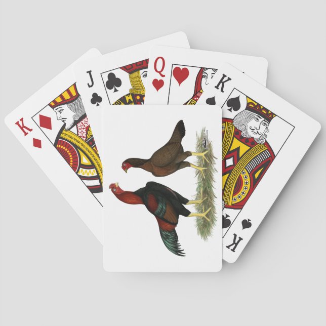 Aseel Black Red Chickens Playing Cards (Back)