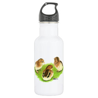 Aseel Black Red Chicks 532 Ml Water Bottle