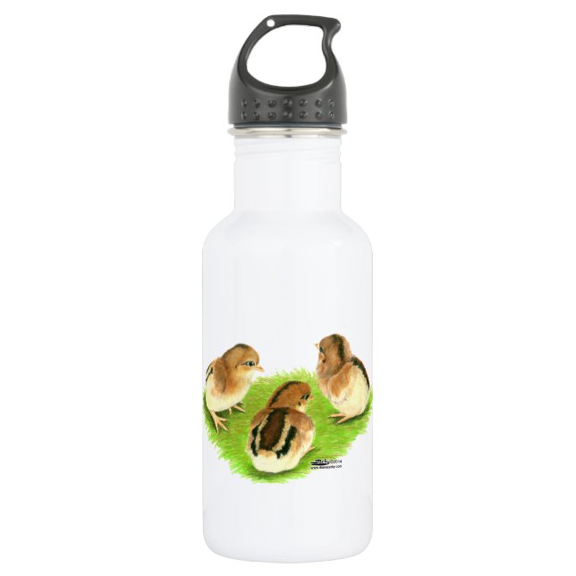 Aseel Black Red Chicks 532 Ml Water Bottle (Front)