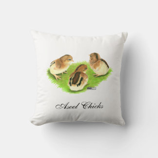 Aseel Black Red Chicks Cushion