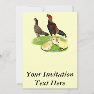 Aseel Wheaten Chicken Family Invitation