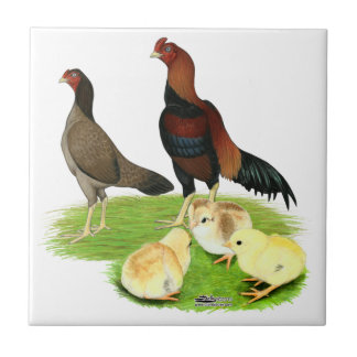 Aseel Wheaten Chicken Family Tile