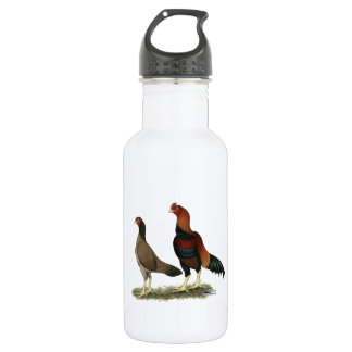 Aseel Wheaten Chickens 532 Ml Water Bottle