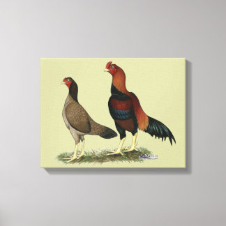 Aseel Wheaten Chickens Canvas Print