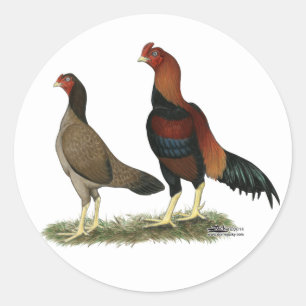 Aseel Wheaten Chickens Classic Round Sticker