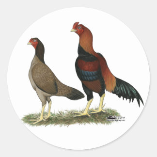 Aseel Wheaten Chickens Classic Round Sticker