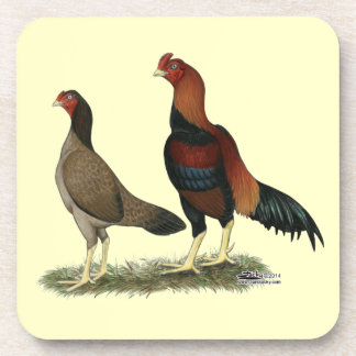 Aseel Wheaten Chickens Coaster