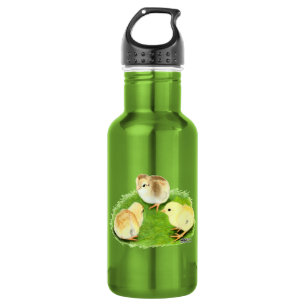 Aseel Wheaten Chicks 532 Ml Water Bottle