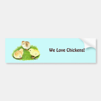 Aseel Wheaten Chicks Bumper Sticker